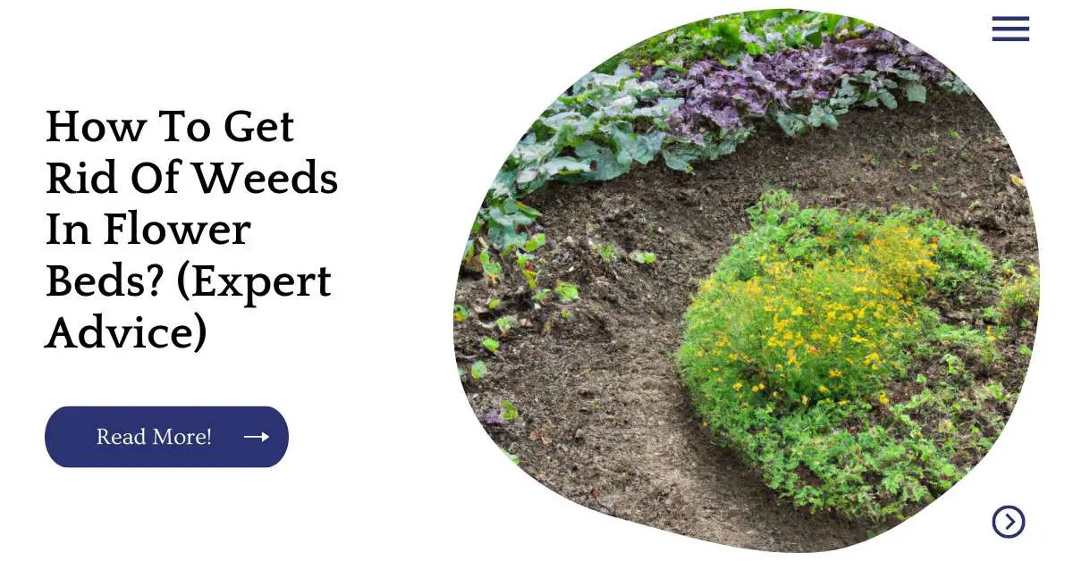 How To Get Rid Of Weeds In Flower Beds? (Expert Advice)