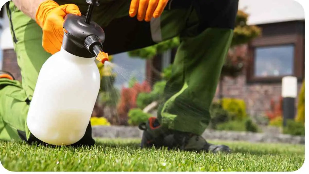 What Kind Of Weed Killer Can You Use In Flower Beds? Unified Garden