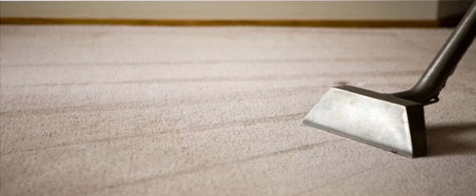Who Really Needs House Cleaning Services? Best Carpet Cleaning in Calgary