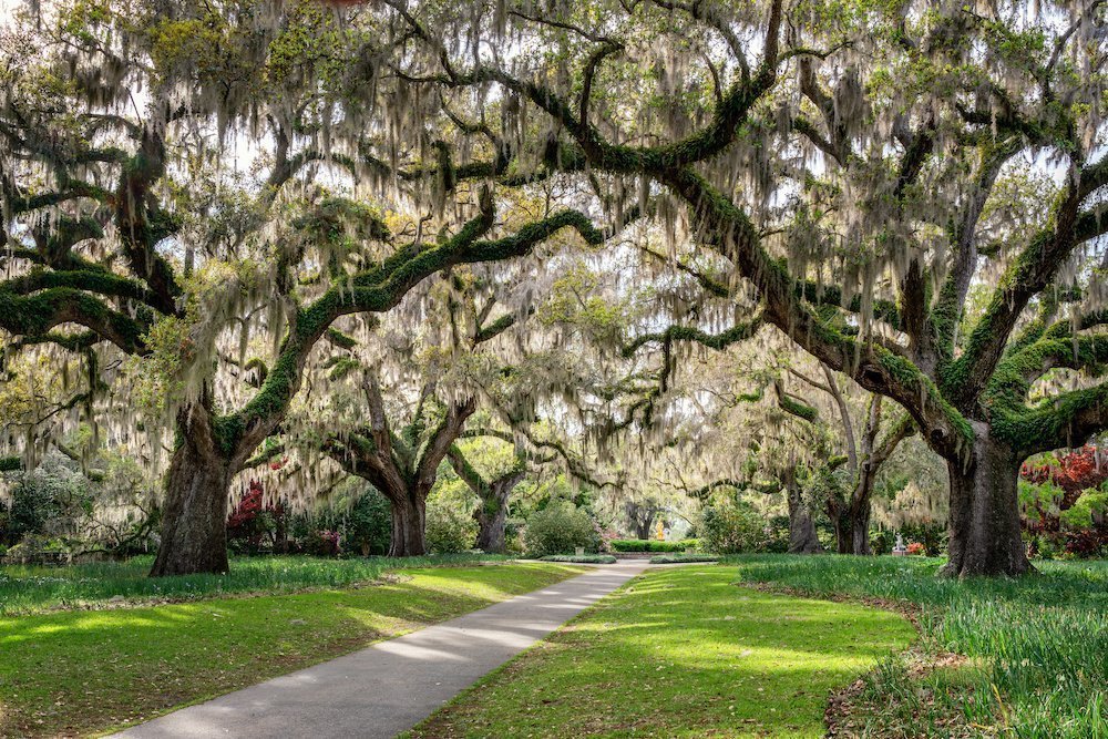 Is Moving to South Carolina Right For You? • UniMovers