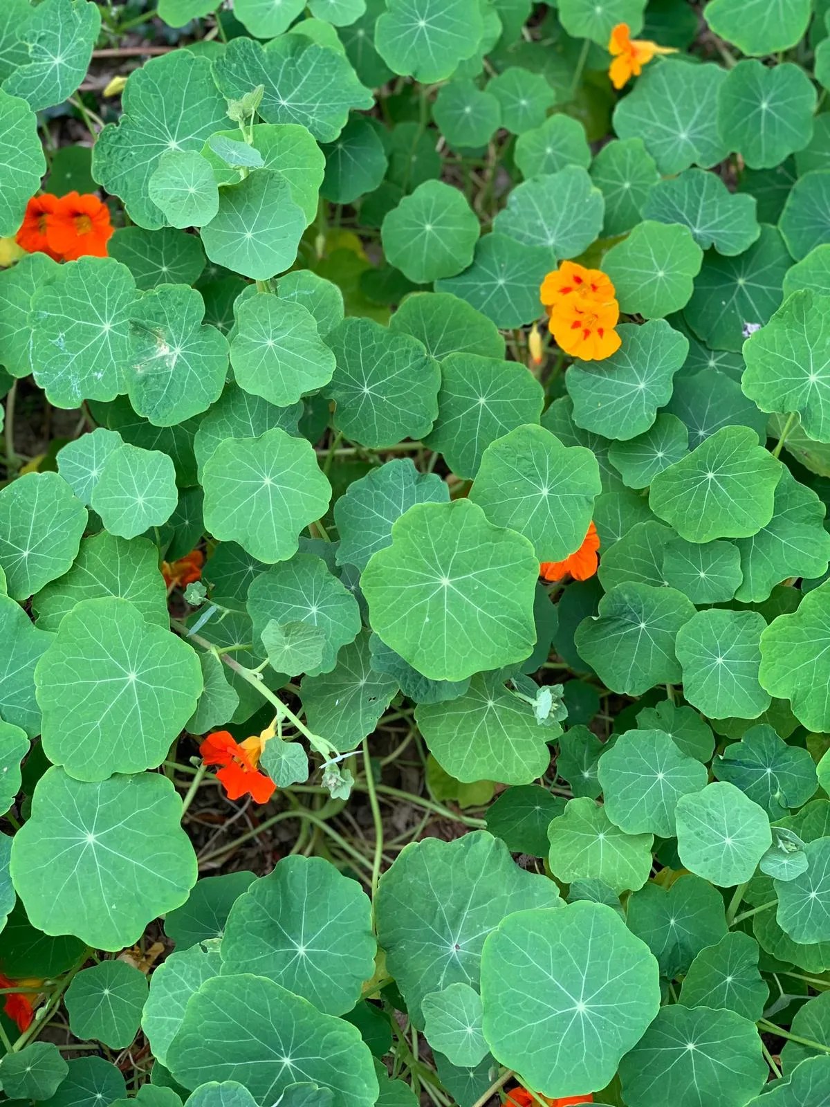 Photo Gallery UNioN Wine Bar & Kitchen, The Mall, Waterford