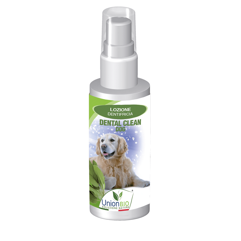Can Dog Toothpaste Cause Upset Stomach