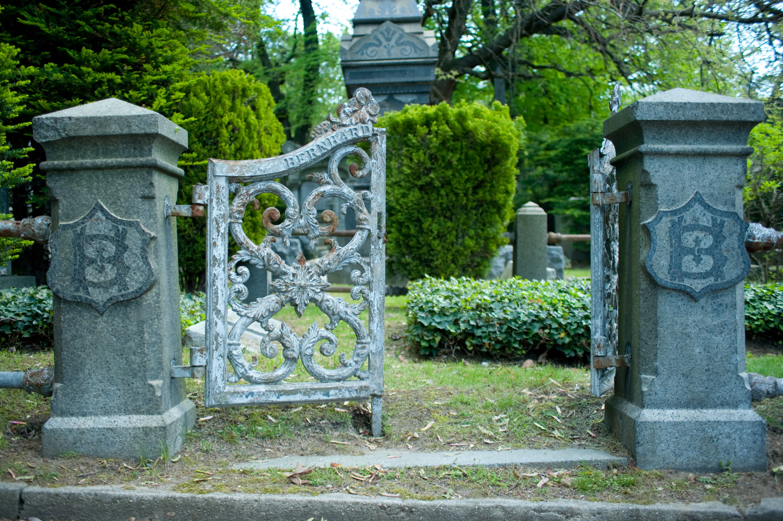 Services Union Field Cemetery