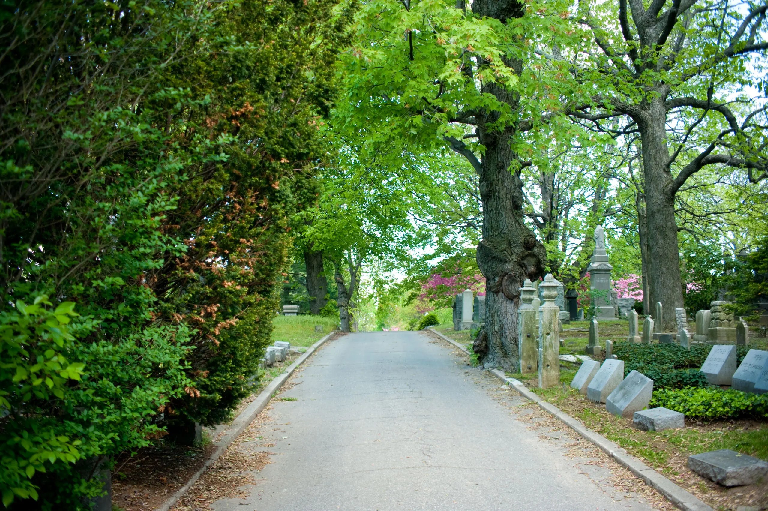 Union Field Cemetery Home Union Field Cemetery