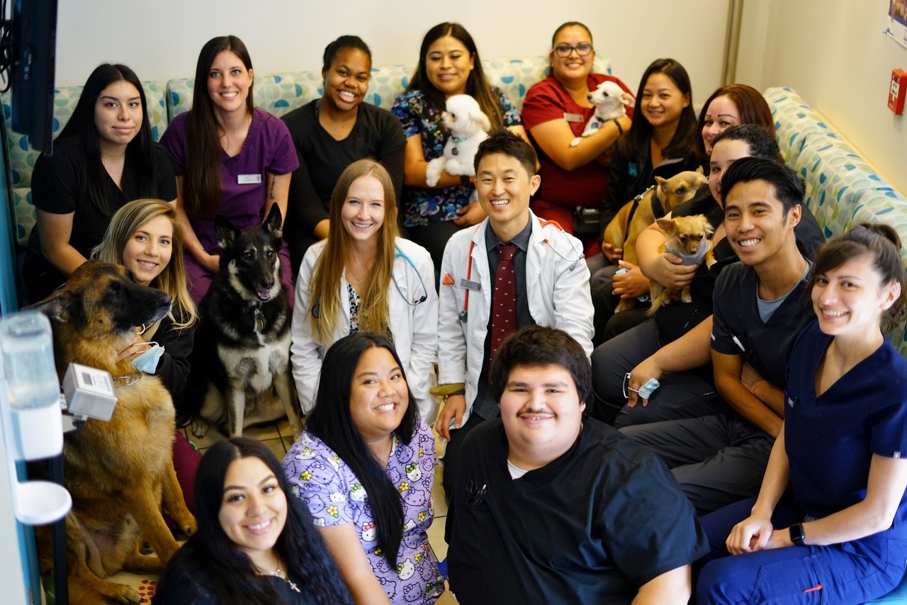 uni pet clinic prices Gale Gorham