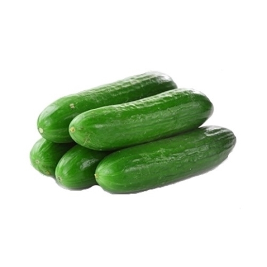 Persian Cucumber / (per) lb UNIQOP Online Persian Grocery