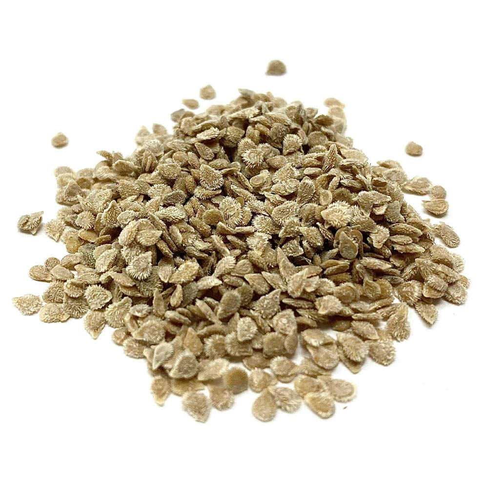 Tomato Seeds Unique Agri