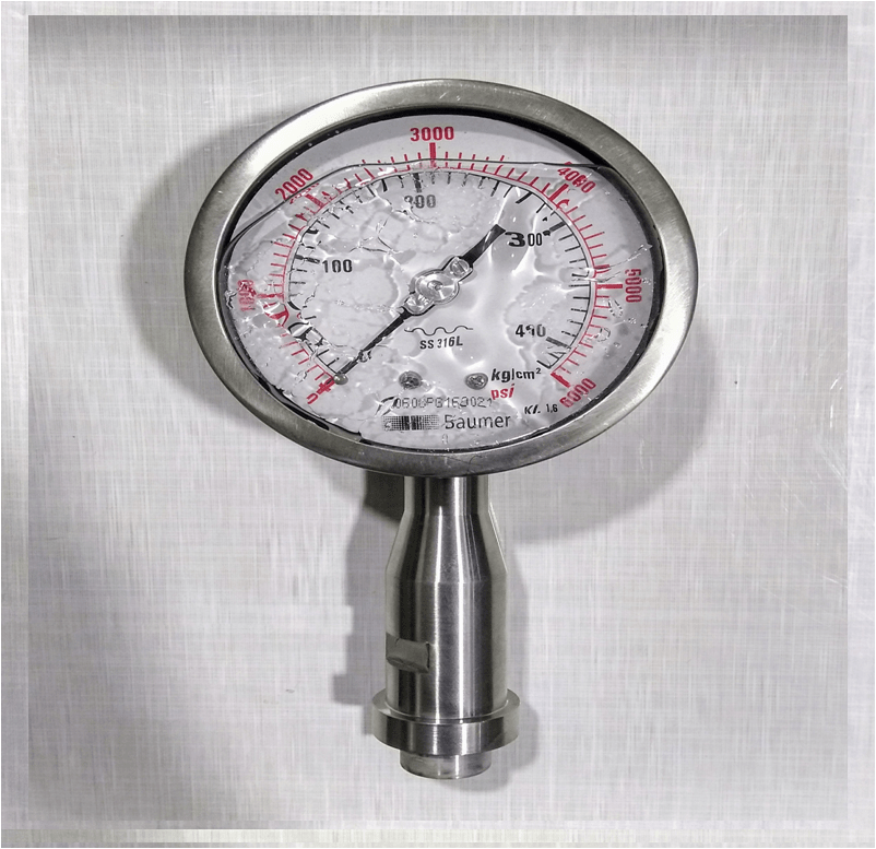 Homogenizer Pressure Gauge (BAUMER) Unique Control System