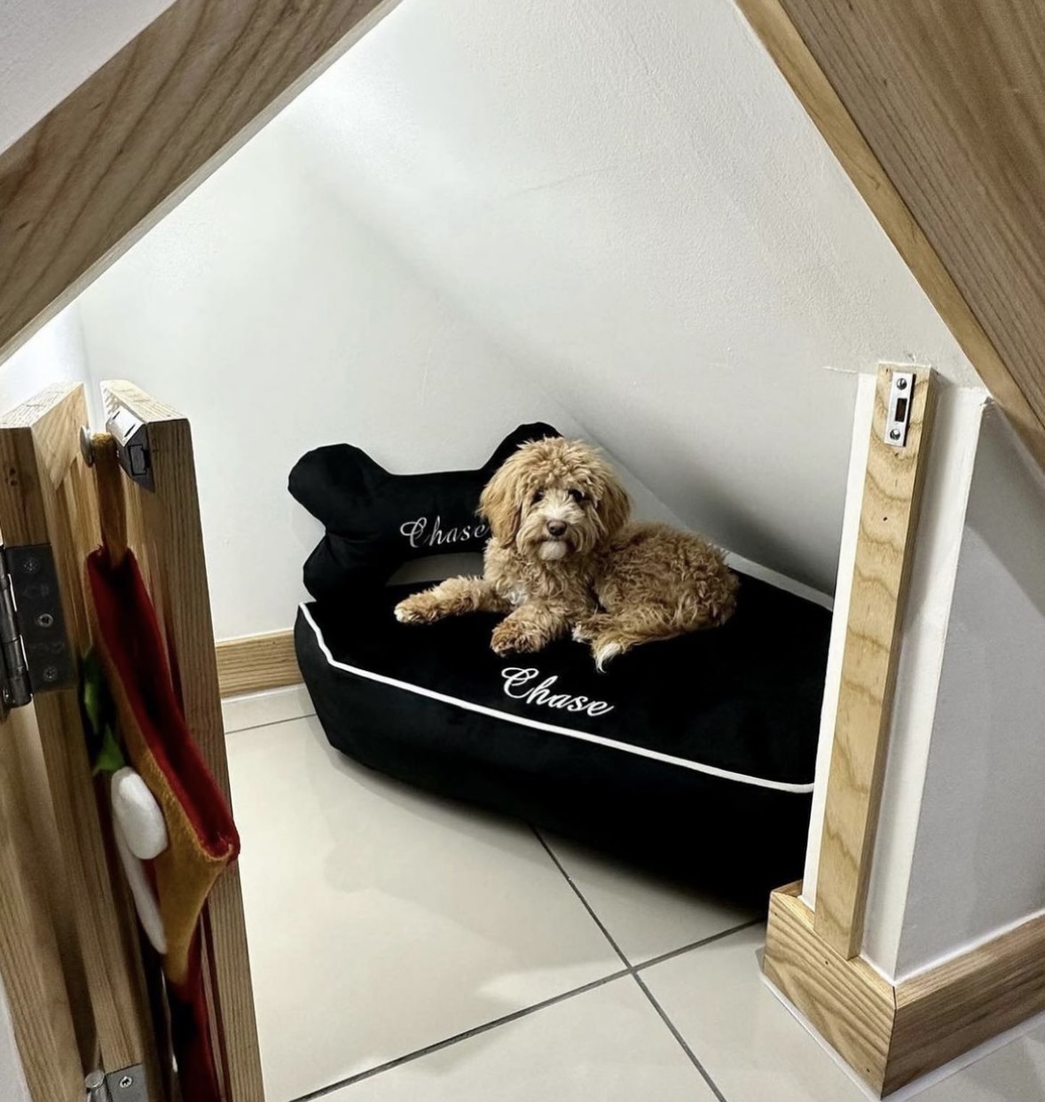 Bespoke Sizes Unique Dog Beds