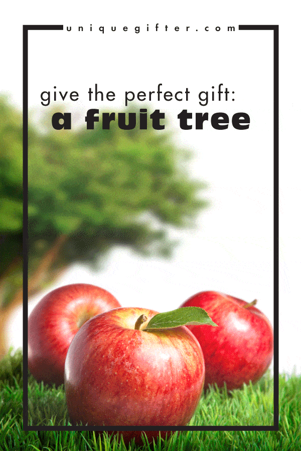 Give the perfect gift a fruit tree Unique Gifter