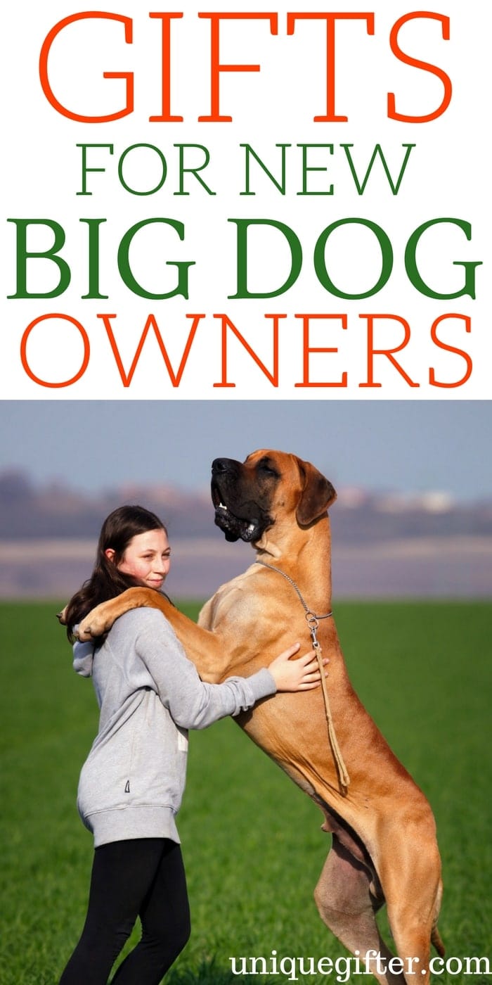 Gifts For New BigDog Owners Unique Gifter