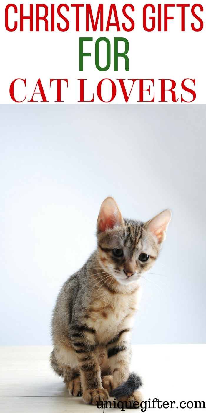 Christmas Gifts for Cat Lovers Unique Gifter