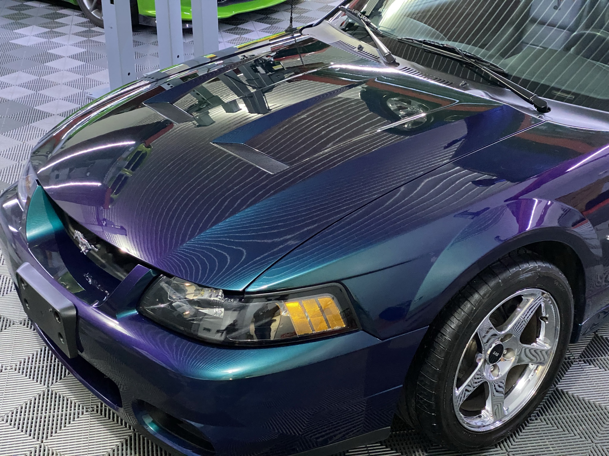 2004 Ford Mustang Cobra**Only 32,661 Original Kms**Beautiful