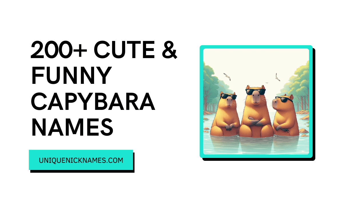300+ Cute & Funny Capybara Names (Unique)