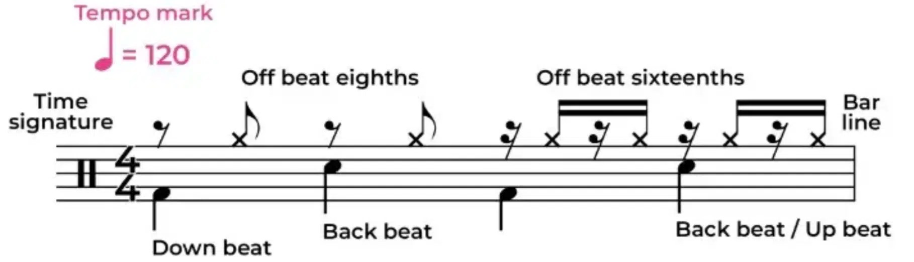 What is a Backbeat? The Proven Guide to Epic Grooves (2025)