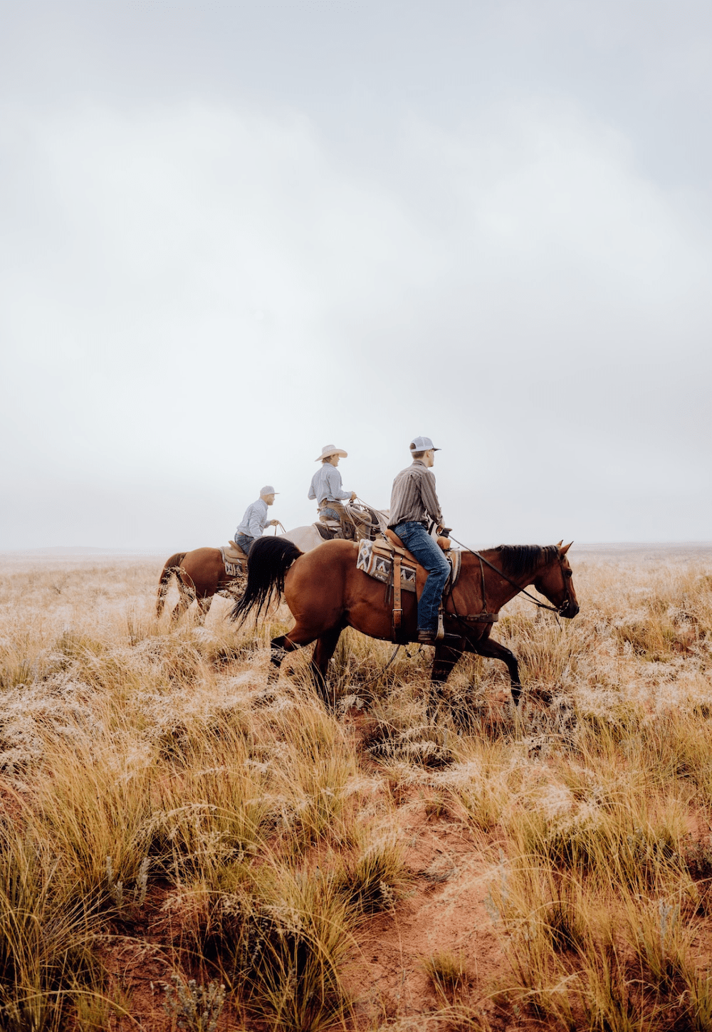 Your Solution to a Rural Home Loan in Texas United Ag Lending