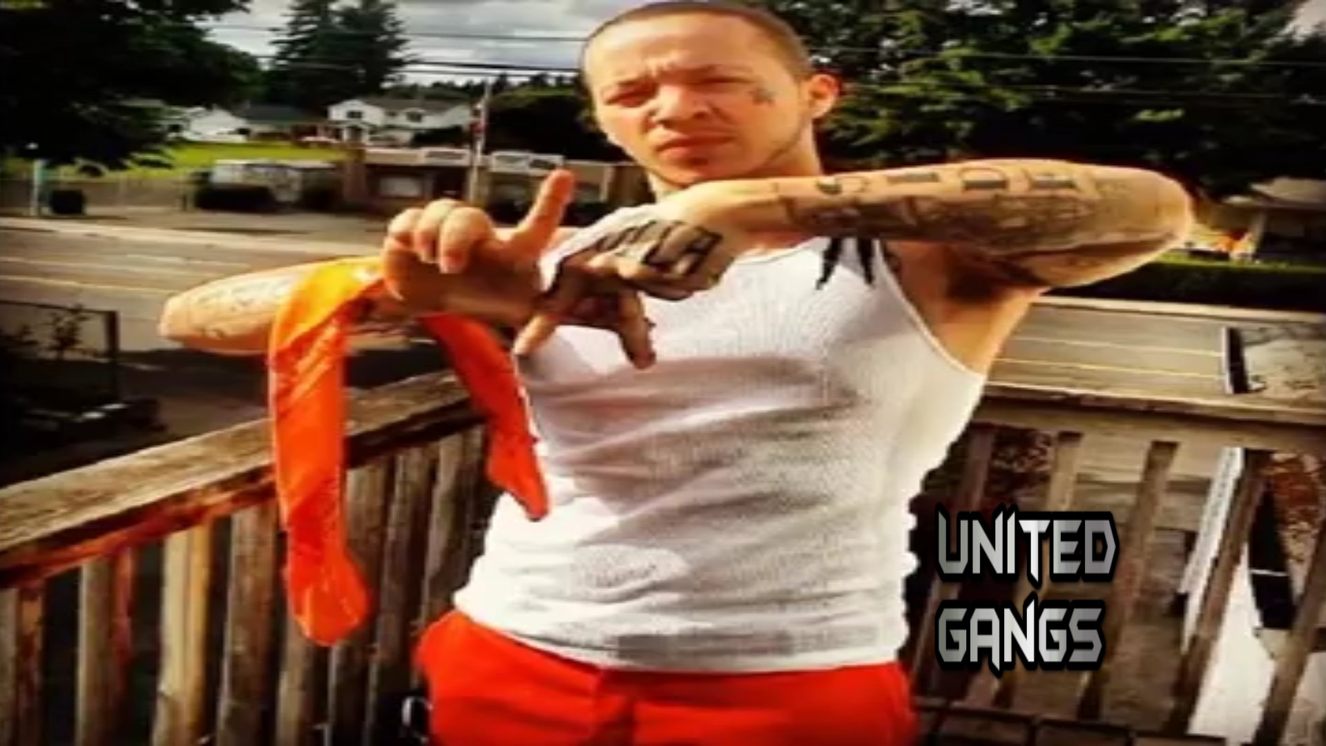 Hoover Crip Flag