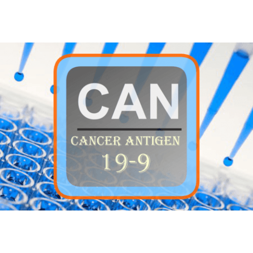 Cancer Antigen ELISA CA 199 CANEB03 United Immunoassay