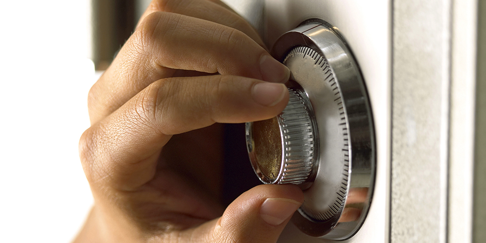 Top 5 Safe Companies Best Safe Companies