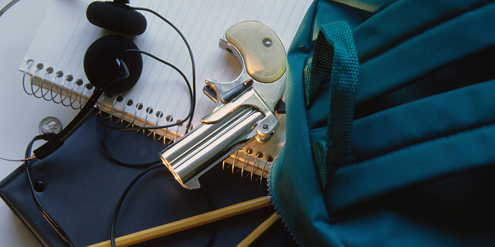 School Safety Statistics [INFOGRAPHIC] School Security Stats