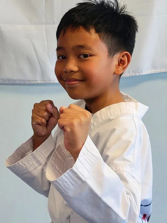 Mixed Martial Arts Training Institute In Katy Texas