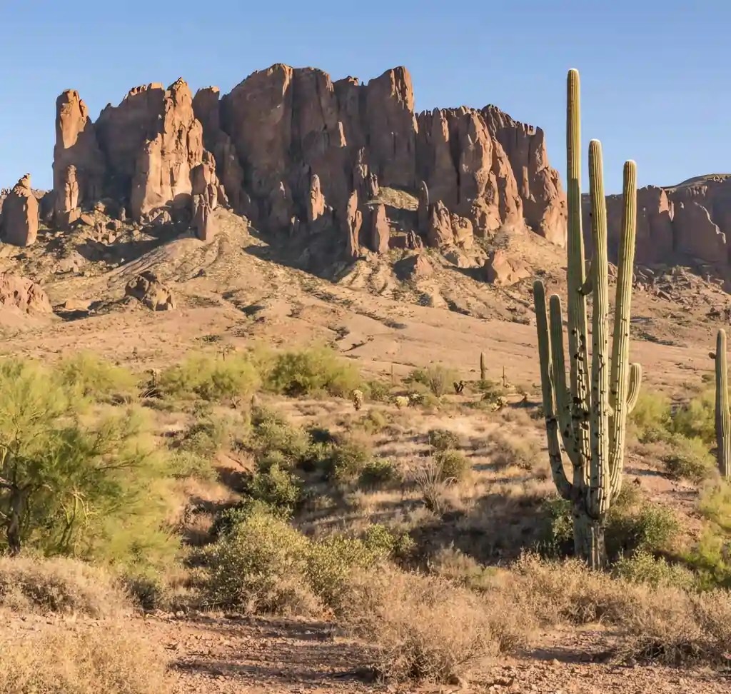 Property Management Phoenix Get The Most Rent for Your House