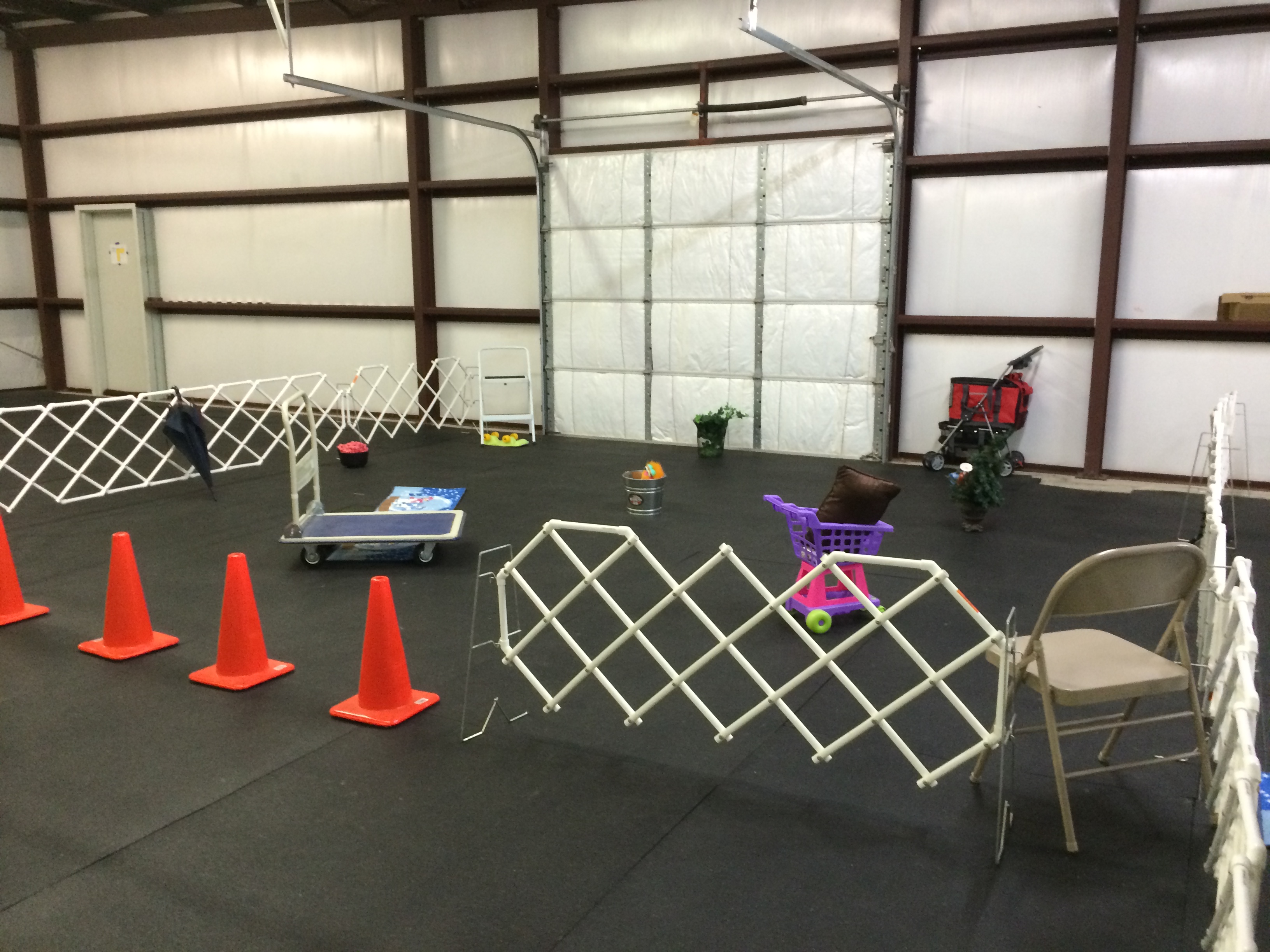 United Nosework The sport of Nosework