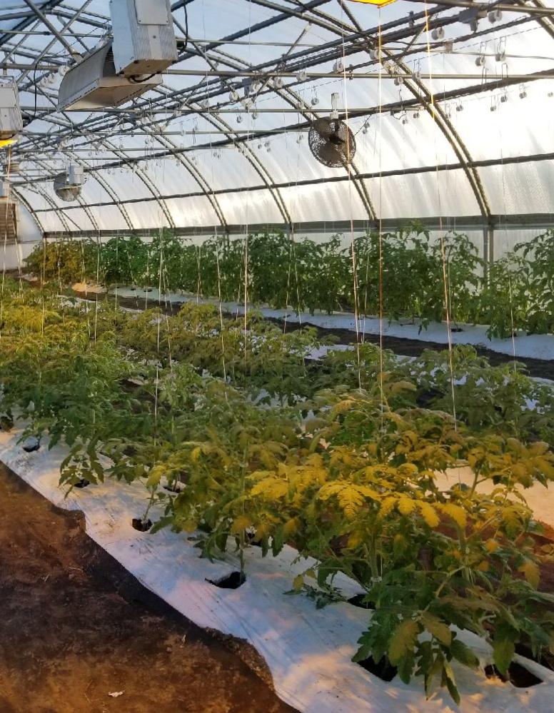 Drumm Farm Center for Children United Way of Greater Kansas City