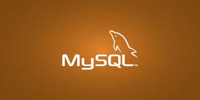 MySQL - Database of Databases Mysql net worth
