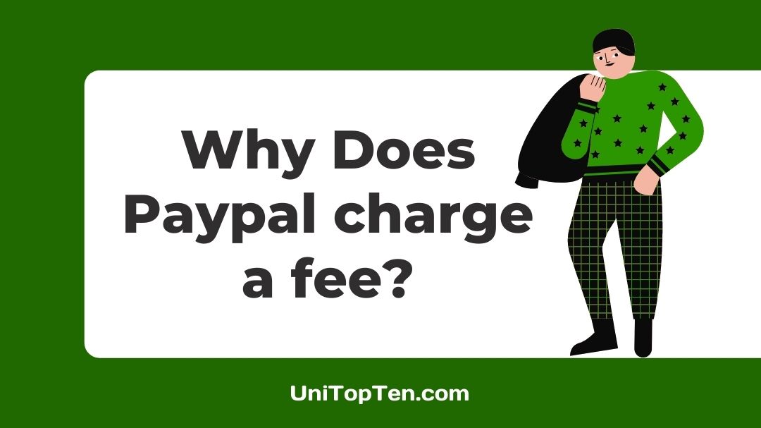 (4 Conditions) Why Does Paypal charge a fee [Saving tips] UniTopTen