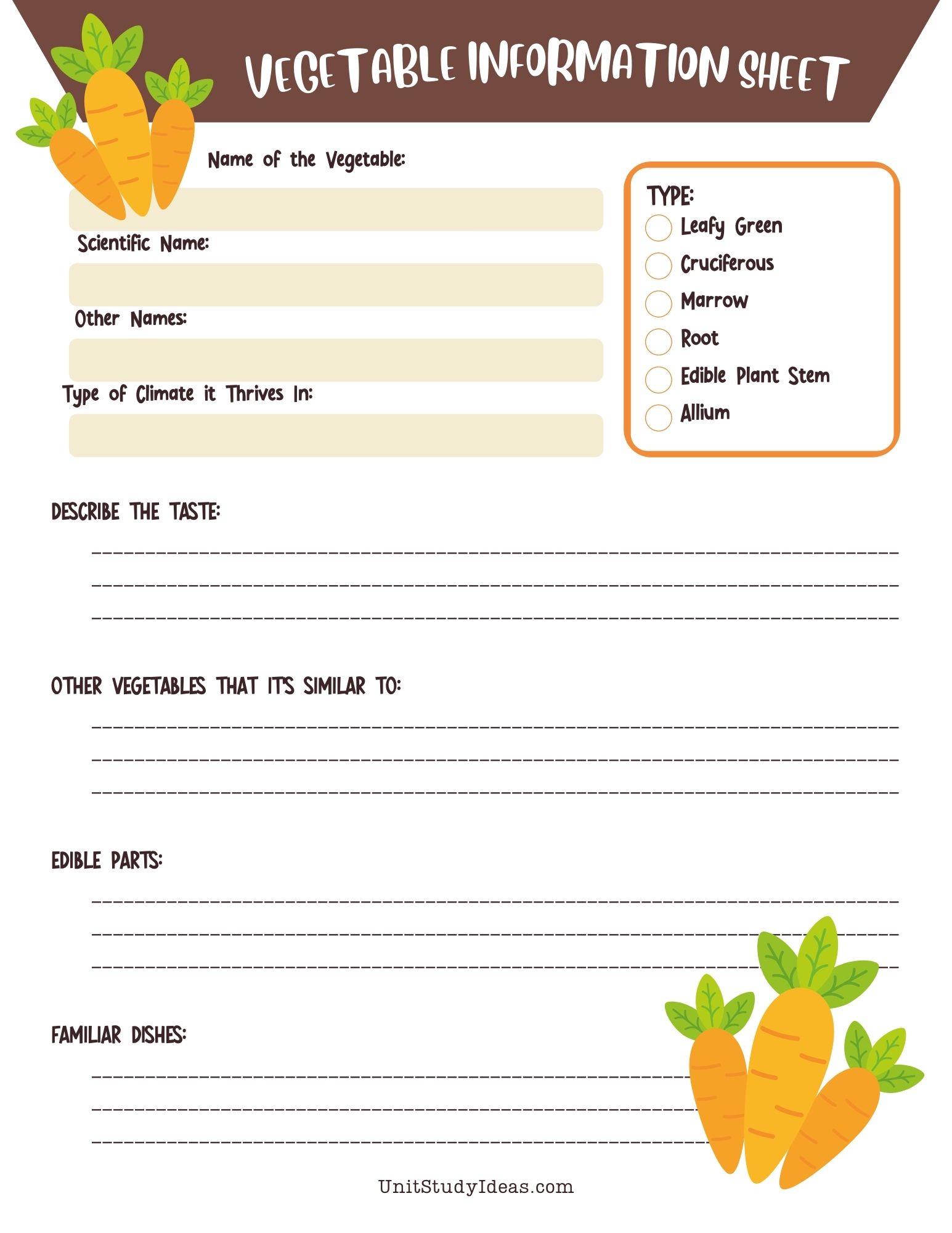 Free Printable Vegetable Study Worksheet for a Garden Unit Study