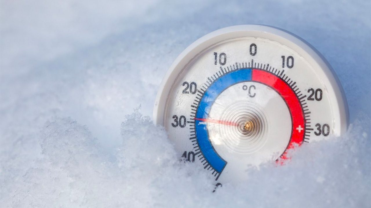 Right Walkin Freezer Temperature The Comprehensive Guide