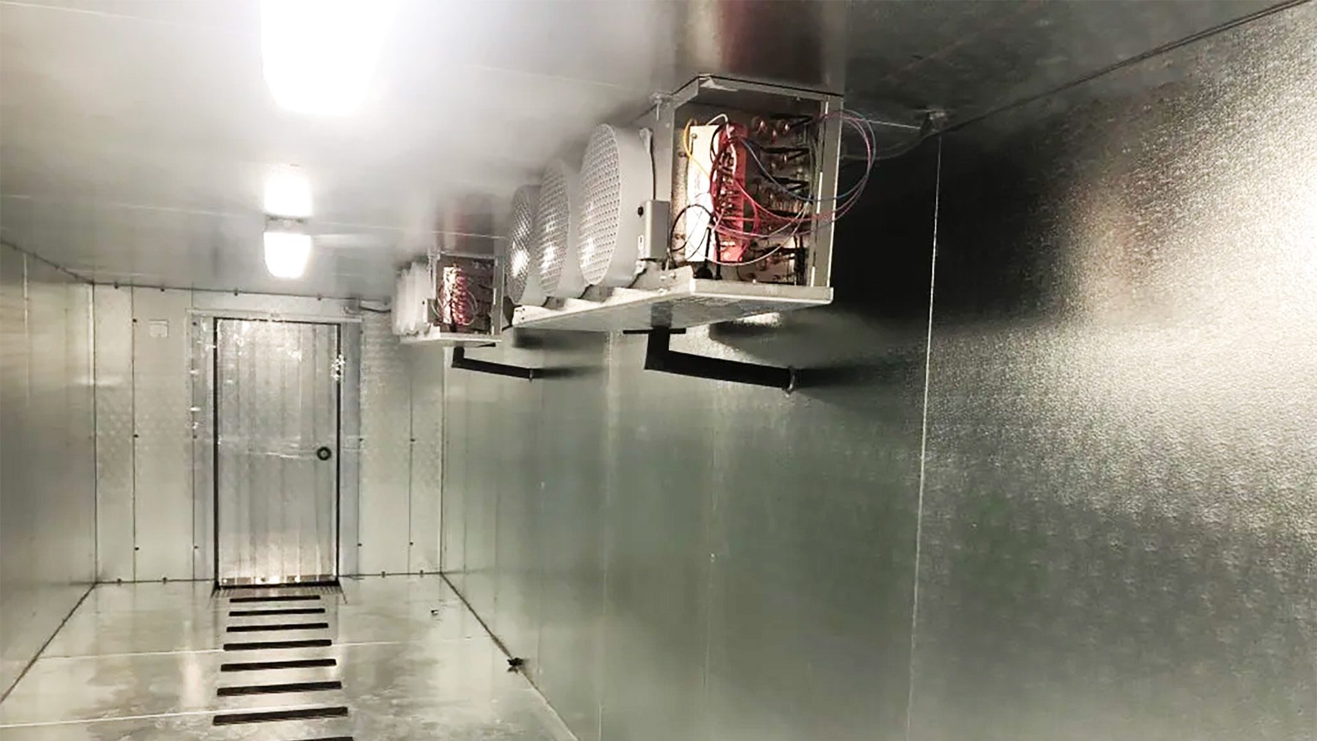 Master WalkIn Freezer Maintenance 5 Proven Tips