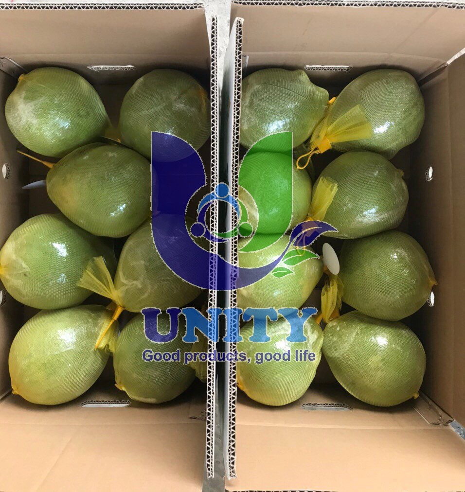 Vietnam Pomelo Trusted Fresh fruits and vegetables supplier