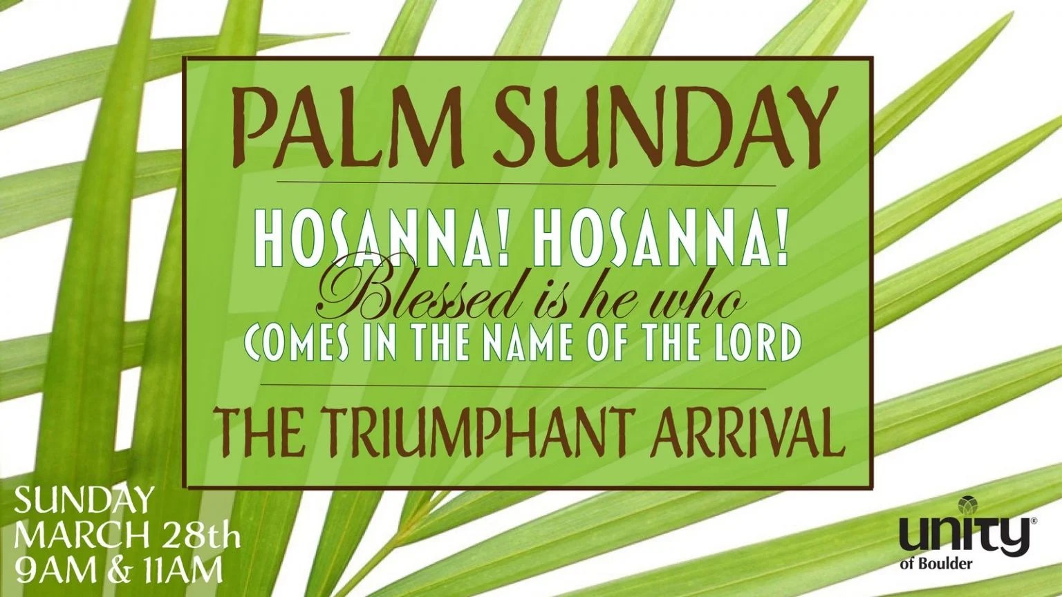 Colorado Springs Events Tsunday April 8 2023 Bunnell
