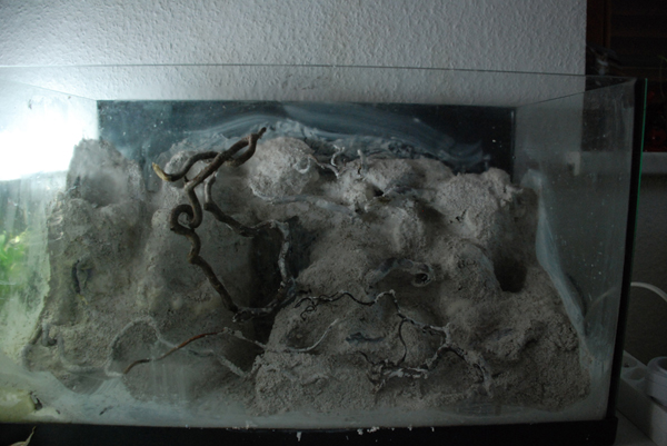 Terrarium Maxi Zoo Univers Reptiles