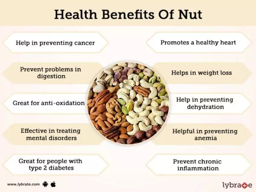 The Facts about Nuts Universal Health Products
