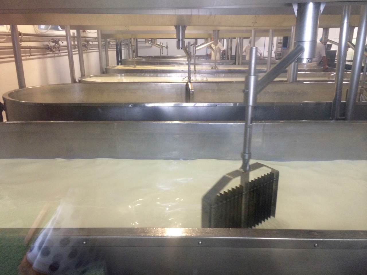 5 Reasons to Tour the Wensleydale Cheese Factory in Hawes Universal