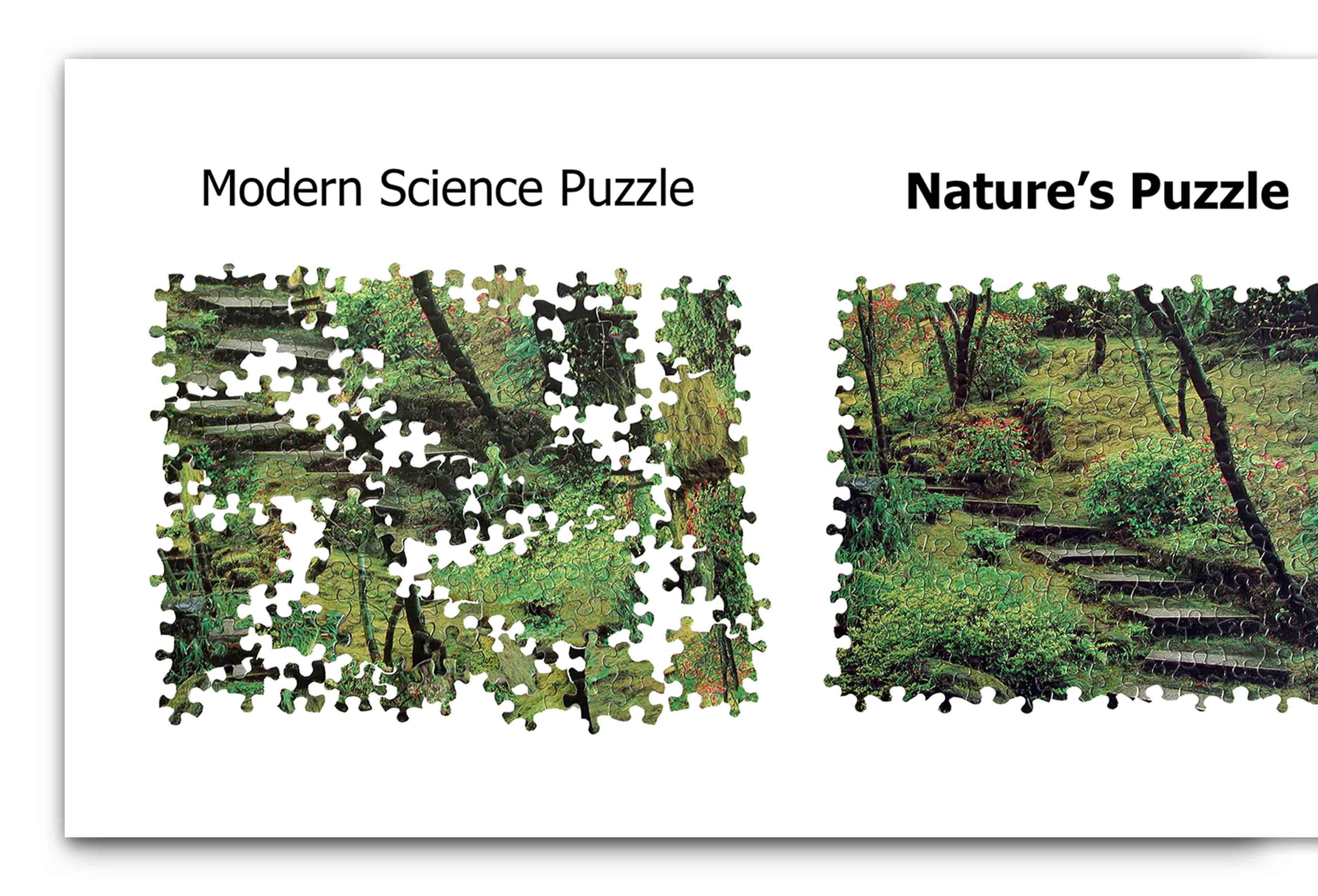 puzzle example Universal Model