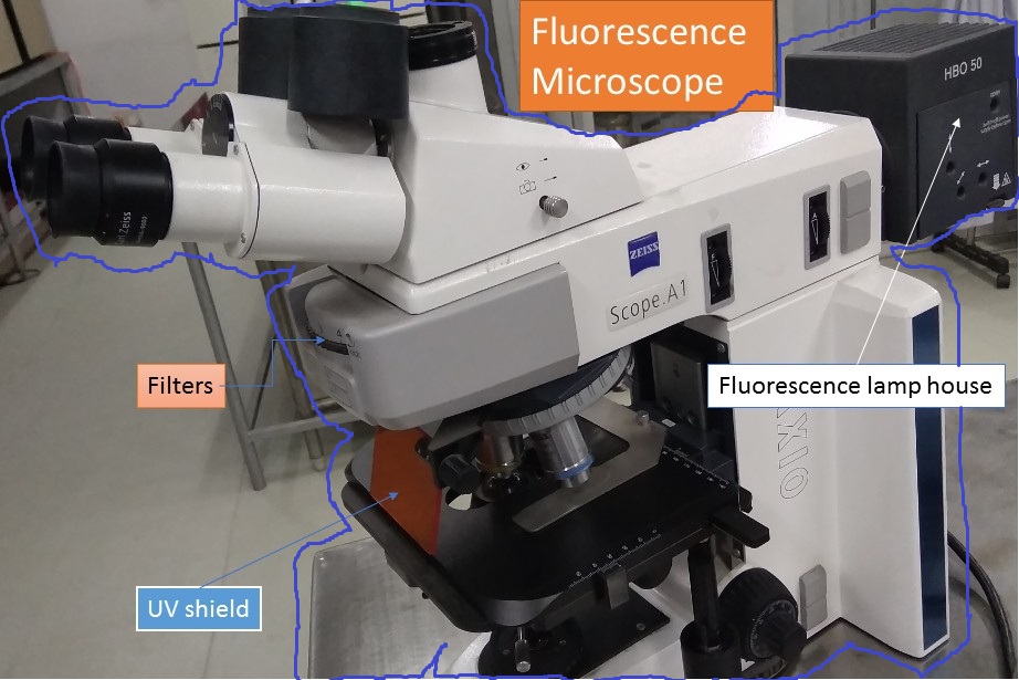 Fluorescence Microscope Introduction, Principle, Its Components and