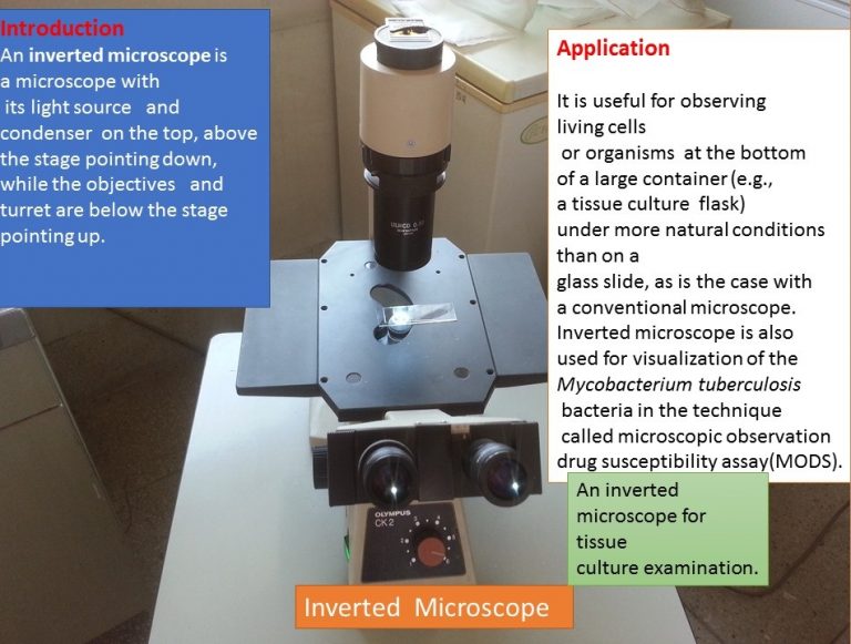 Inverted Microscope Introduction, Principle, Working and Applications