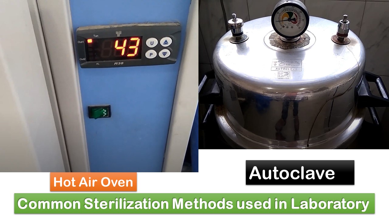 Sterilization Methods Introduction, Commonest Techniques, Principle