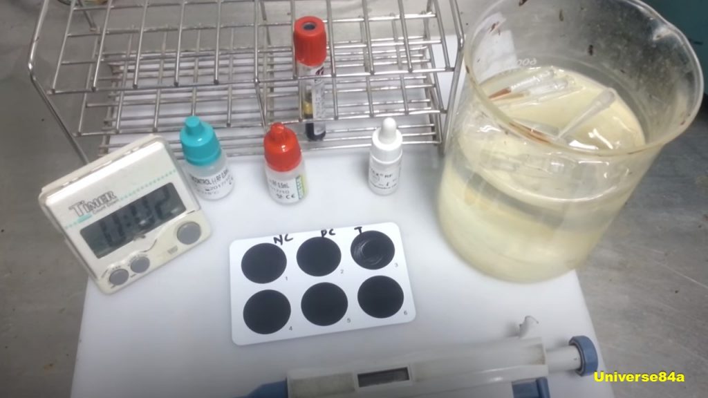 RF Test Introduction, Principle, Testing Procedure, Result Interpretation