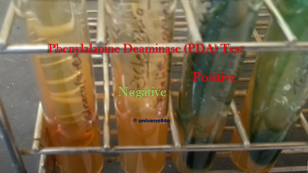 PDA Test Introduction, Principle, Test Requirements, Procedure, Result