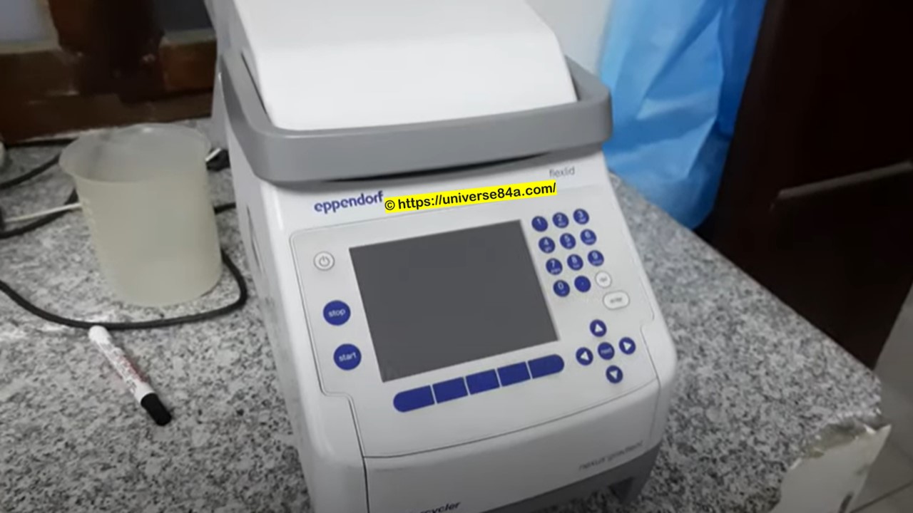 PCR Analyzer Introduction, Principle, Test Requirements, Handling Pro