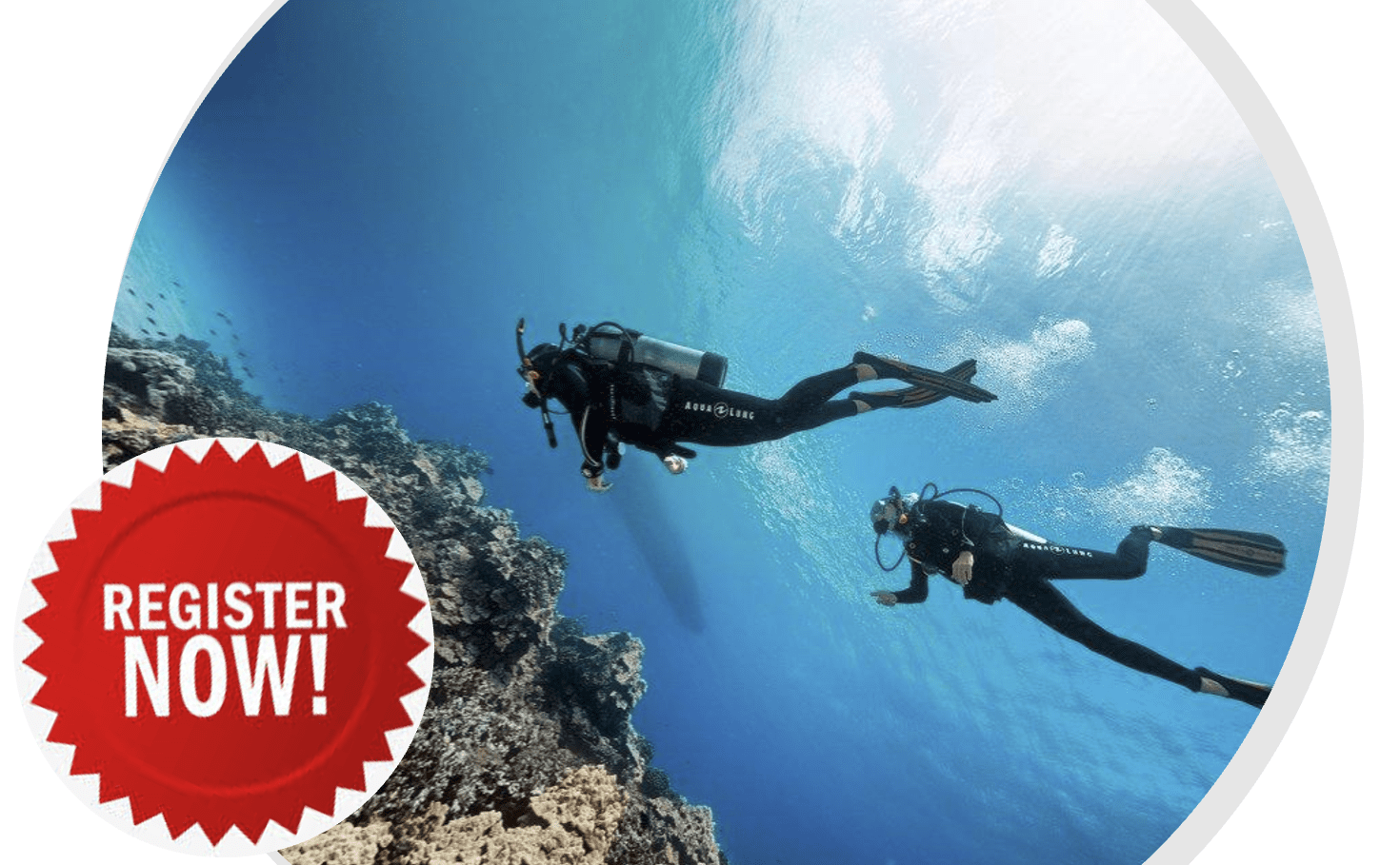 Hart House Underwater Club January Newsletter AGM Pub Night and