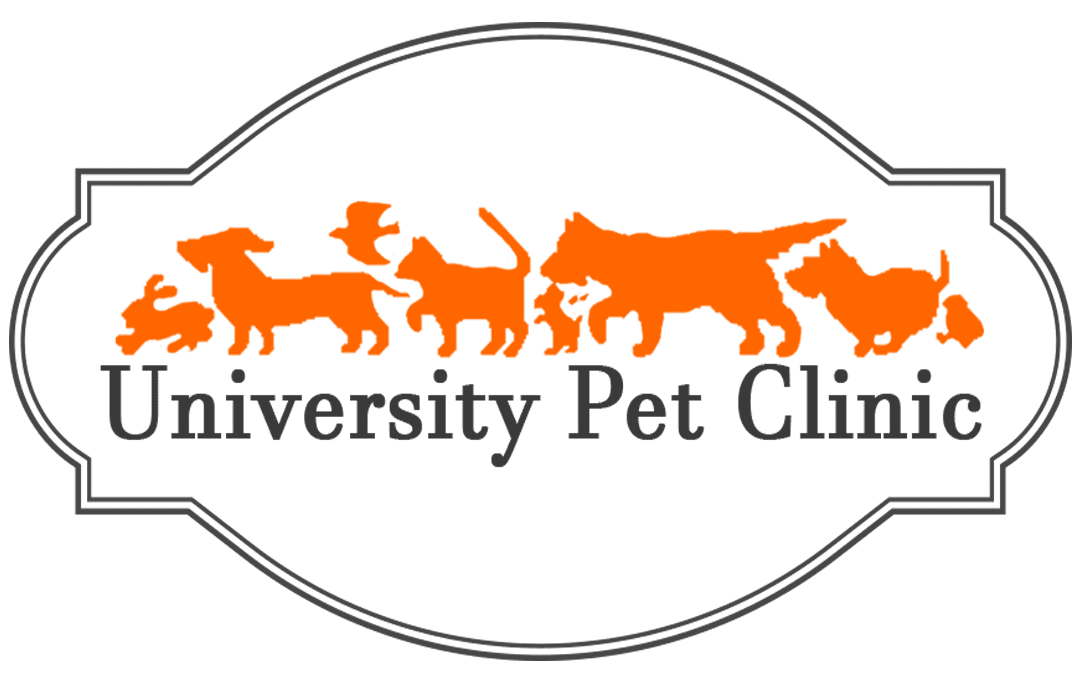 Animal Hospital University Pet Clinic 5207957016
