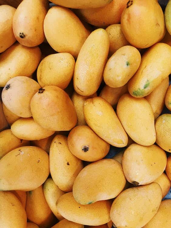 Importing Mangoes From Pakistan To EU Regulations, Process, And Best