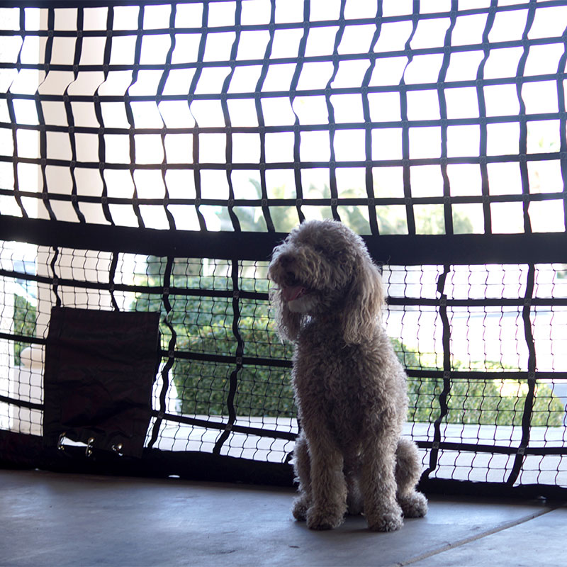 Unleashed Dog House Kennel Amazon Dog Kennel