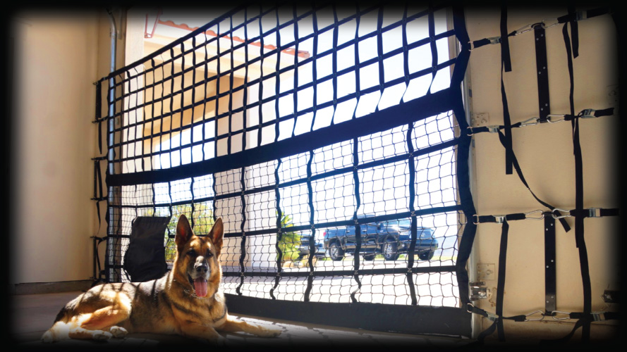 Unleashed Dog House Kennel Amazon Dog Kennel